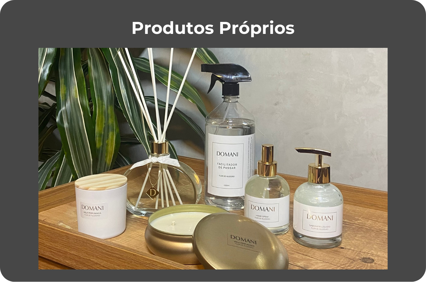 Perfumes Personalizados